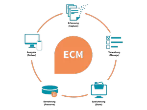 TA_Grafik_ECM_Kategorien im Ueberblick