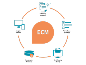 TA_Grafik_ECM_Kategorien im Ueberblick